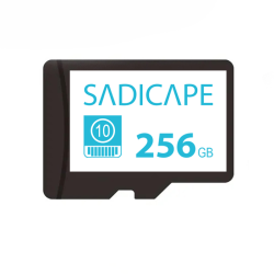 256GB SD Memory card